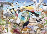 GIBSONS Puzzle RSPB: Křídla v divočině