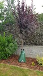 Zavlažovací vak TREE BAG "CLASSIC" 50-110 L