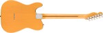 Fender American Professional Classic Telecaster SSS RW Butterscotch Bl