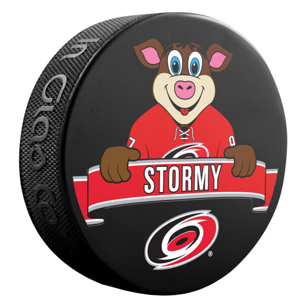 Inglasco / Sherwood Puk Carolina Hurricanes NHL Mascot