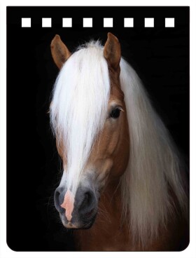 Zápisník 3D - Haflinger A7