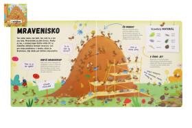 Kniha Čo sa deje v mravenisku SK verzia 23x23cm - Petra Bartíková