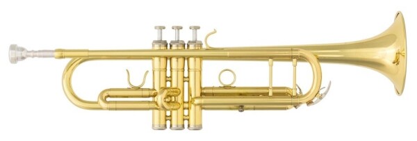 B&S 3137-L Challenger II