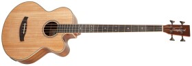 Tanglewood TRAB BW (rozbalené)
