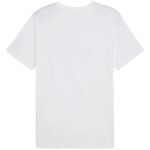 Puma Ess No.1 Logo Tee M 682532 02 pánské tričko m