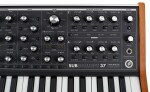 Moog SUBSEQUENT 37