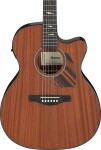 Ibanez PC34MHCE NT