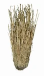 Lucky Reptile Grass Bushes 25-40 cm (FP-64075)