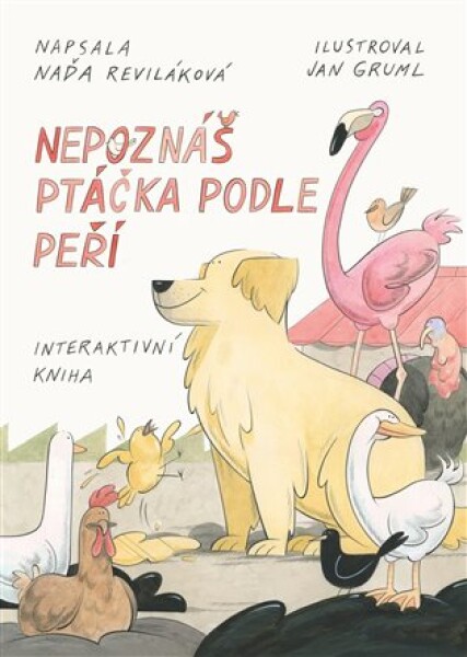 Nepoznáš ptáčka podle peří