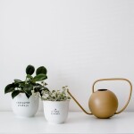 Bella Rose Porcelánový obal na květináč Já z toho vyrostu 10 cm, bílá barva, zlatá barva, porcelán