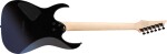 Ibanez RG421DX-TWS