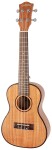 Cascha HH 2036 CZ Concert Mahogany Ukulele Bundle