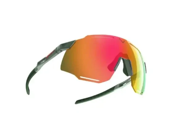 Dynafit Alpine Evo brýle Sage/Thyme uni