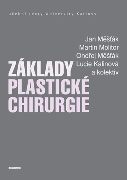 Základy plastické chirurgie - Jan Měšťák, Martin Molitor, Měšťák Ondřej, Lucie Kalinová