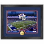 Obraz Buffalo Bills NFL Team Stadium Bronze Coin