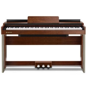 DONNER DDP-200