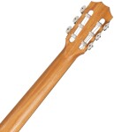 Taylor 214ce-N