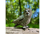 Safari Ltd. Safari Ltd. Figurka - Puštík vousatý