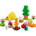 LEGO LEGO® DUPLO Peppa Pig 10452 Táboření