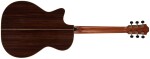 Furch Red OMc-LR CNR Active
