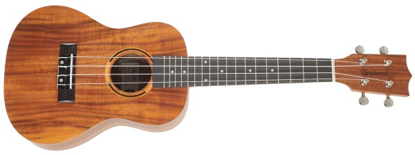 Tanglewood TWT 8