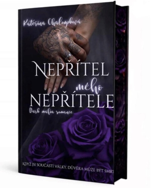 Nepřítel mého nepřítele - Kateřina Chaloupková