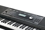 Kurzweil KP100