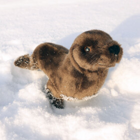 Plyšový lachtan 24 cm ECO-FRIENDLY