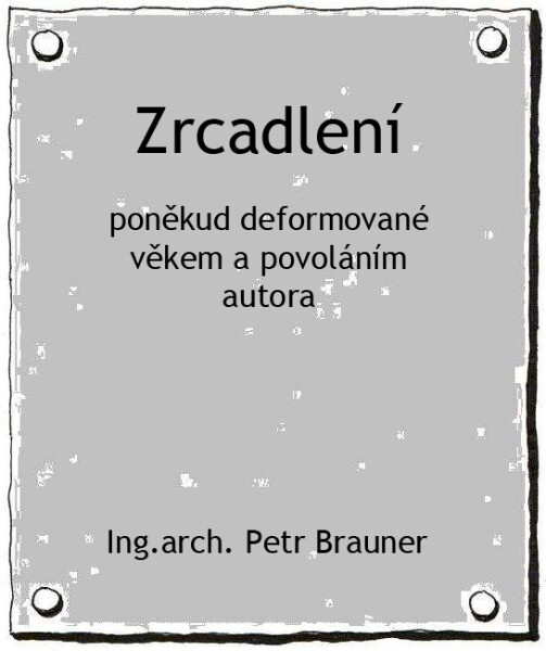 Zrcadlení - Petr Brauner