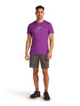 ICEBREAKER Mens Mer 150 Tech Lite SS T Ris Light, Passion (vzorek) velikost: M