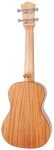 Cascha HH 2036 CZ Concert Mahogany Ukulele Bundle