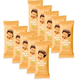 Vilgain Plant Protein Mini Cookies BIO – 10× Arašídy se slaným karamelem 50 g (2 x 25 g)