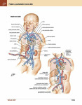 Netterův anatomický atlas člověka