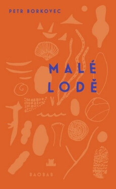 Malé lodě - Petr Borkovec