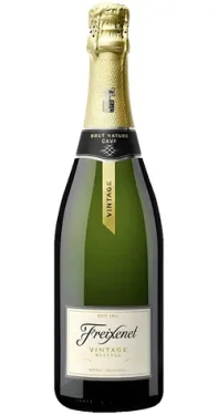 Freixenet Vintage Reserva 2021 / Cava / Brut Nature / 12 % / 0,75 l (8410036000097)