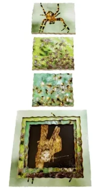 Just Jigsaws 645 Pavouk a jeho životní cyklus - dřevěné vrstvené puzzle