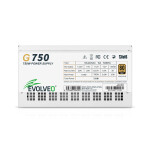 EVOLVEO G750, zdroj 750W, 80+ GOLD, ATX 3.1, aPFC, 140 mm ventilátor, plně modulární, záruka 3 roky, bílý