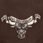 Mitchell & Ness Pánská kšiltovka Chicago Bulls NBA Brown and Cream Snapback