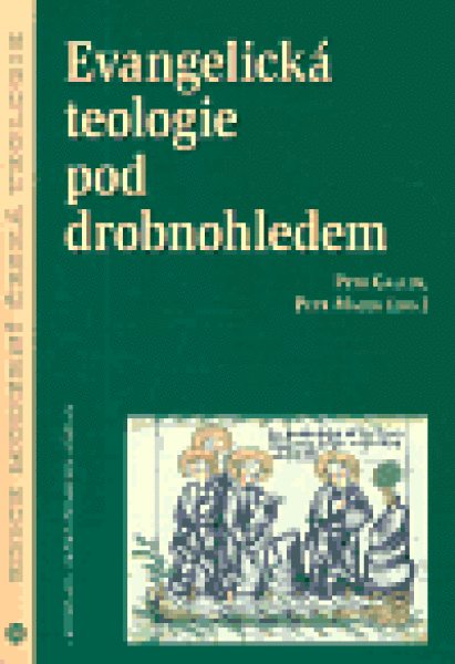 Evangelická teologie pod drobnohledem - Petr Macek, Petr Gallus