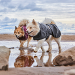 Pláštěnka Mudventure Coat ECO šedá, Hurtta Velikost: 30