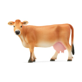 Jerseyská kráva