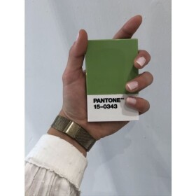 Pantone Pouzdro na vizitky dárkové balení - Green 15-0343