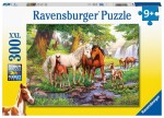 Ravensburger Koně u řeky