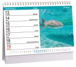 Stolní kalendář ARIA 2026 - Svět kolem nás