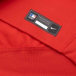 Nike Pánská mikina St. Louis Cardinals MLB 2025 Authentic Performance Therma Hoodie Velikost: M
