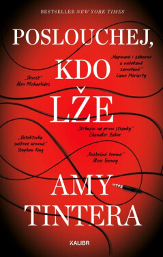 Poslouchej, kdo lže - Amy Tintera