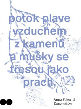 Tanec světlem - Anna Pokorná
