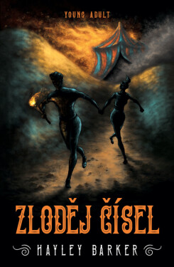 Zloděj čísel - Hayley Barker