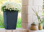 Keter Rattan planter S - grafit