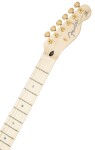 Fender Richie Kotzen Telecaster MN BSB